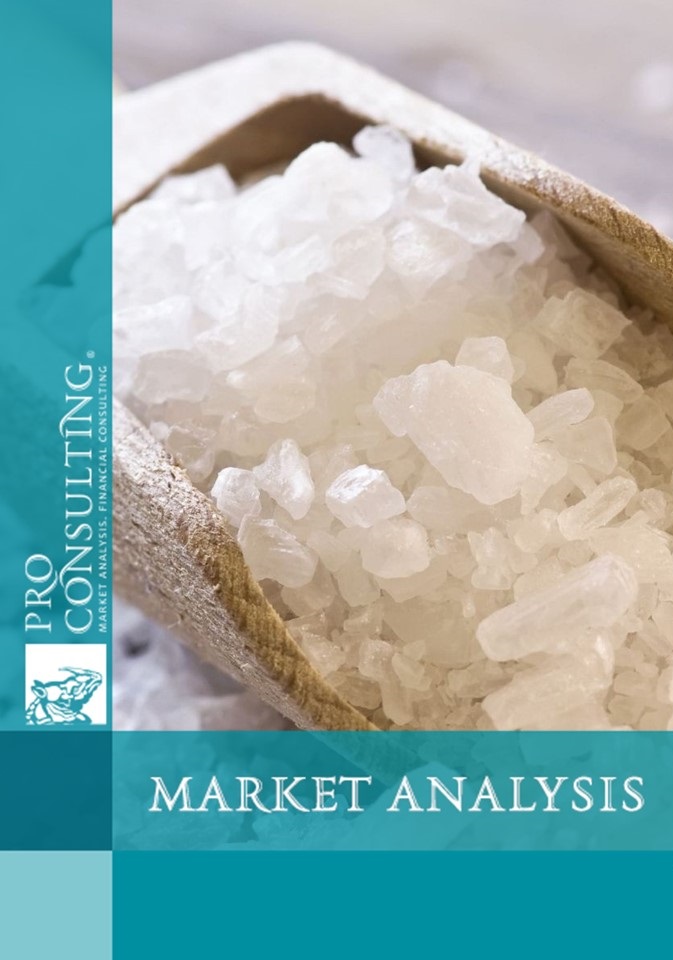 Ukrainian technical salt market research report. 2018